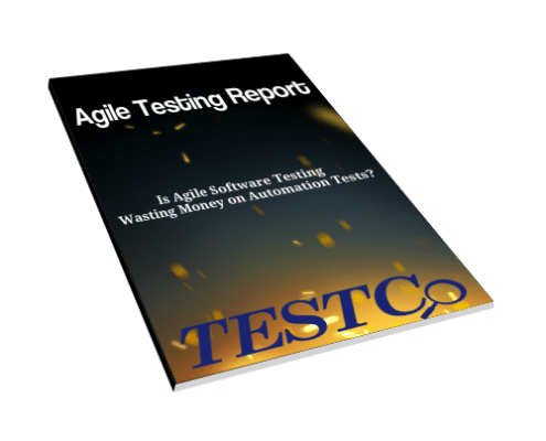 software testing case study pdf